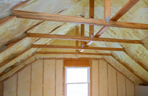 Best Geographic-Specific Insulation Services in Leona Valley, CA