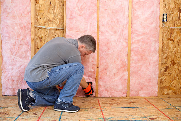 Types of Insulation We Offer in Leona Valley, CA