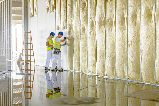 Best Specialized Insulation Services in Leona Valley, CA